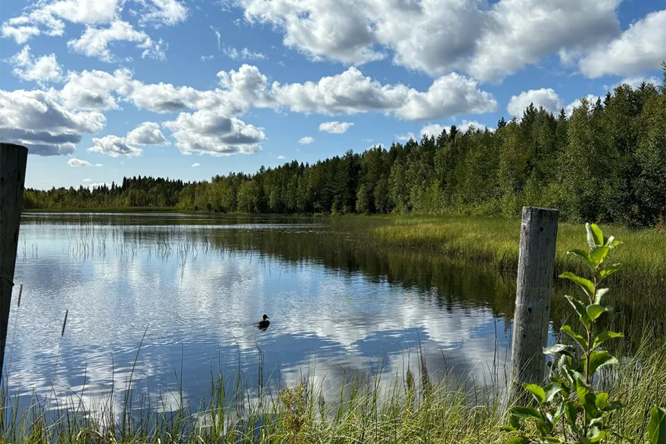 Kolbackens Camping & Stugby - Sjön Hålen